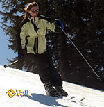 Halliday, Elizabeth: Ecommerce Website Designer in New York, Athlete, Extra Background for Film and TV, including Kidnapped on NBC TV