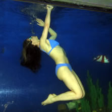 Halliday, Elizabeth Ecommerce Website Designer in New York and Background Extra in Kidnapped on NBC with Timothy Hutton